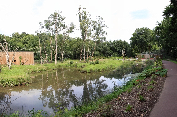 [2] pano, 100CANON, 6 images, IMG_2804 - IMG_2809 - 3846x2551 - SCUL-Smartblend.jpg - celui des siamangs